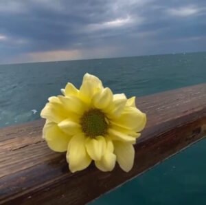 نورة حمد الماضي